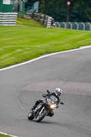 Middle Group Silver_Grey Bikes